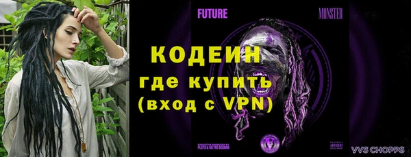 сатива Каменка