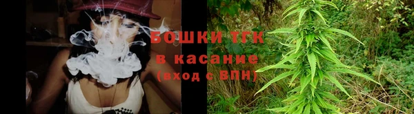 сатива Каменка