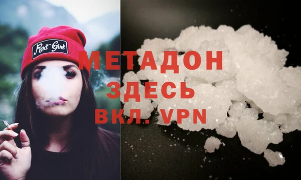 сатива Каменка
