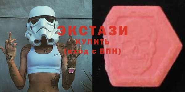 сатива Каменка