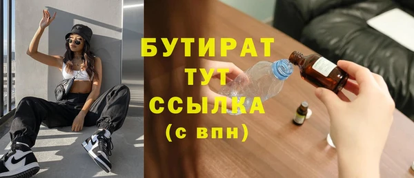 сатива Каменка