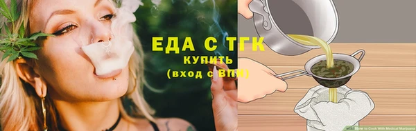 сатива Каменка