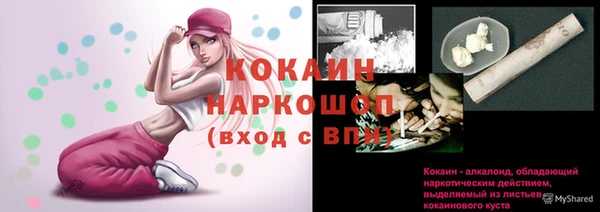 сатива Каменка