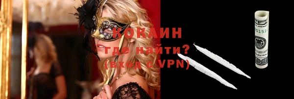 сатива Каменка