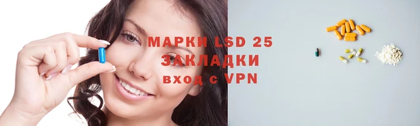 сатива Каменка