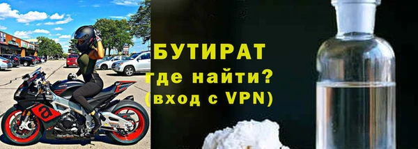 сатива Каменка