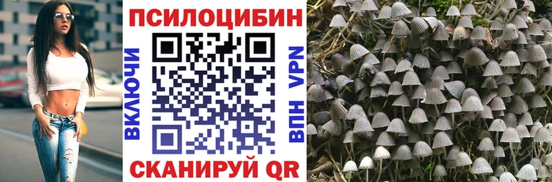 Галлюциногенные грибы Psilocybe Купить Белорецк